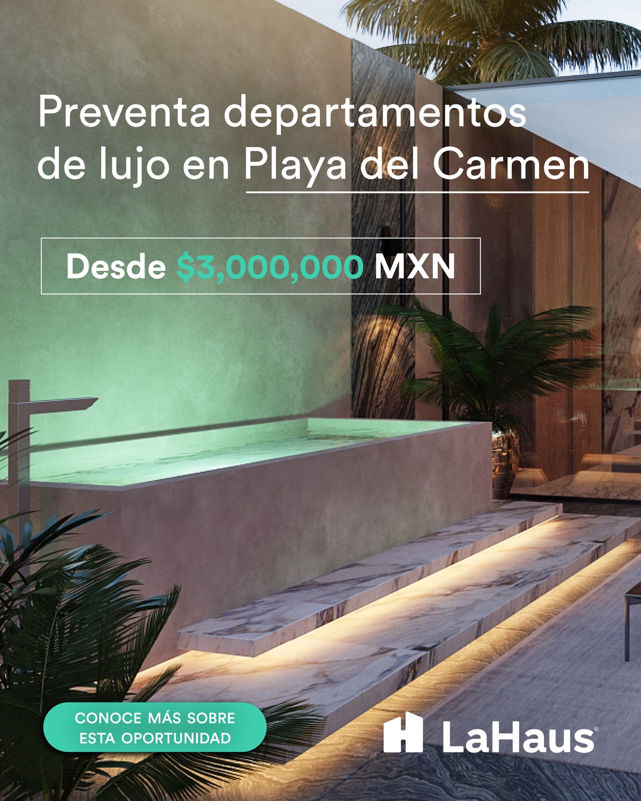 La Haus — contenido editorial