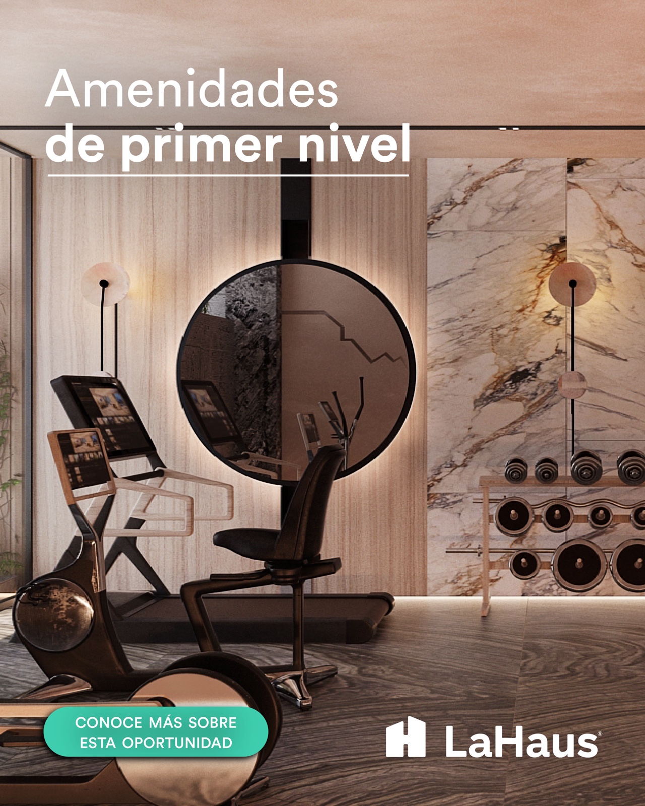 La Haus — contenido editorial