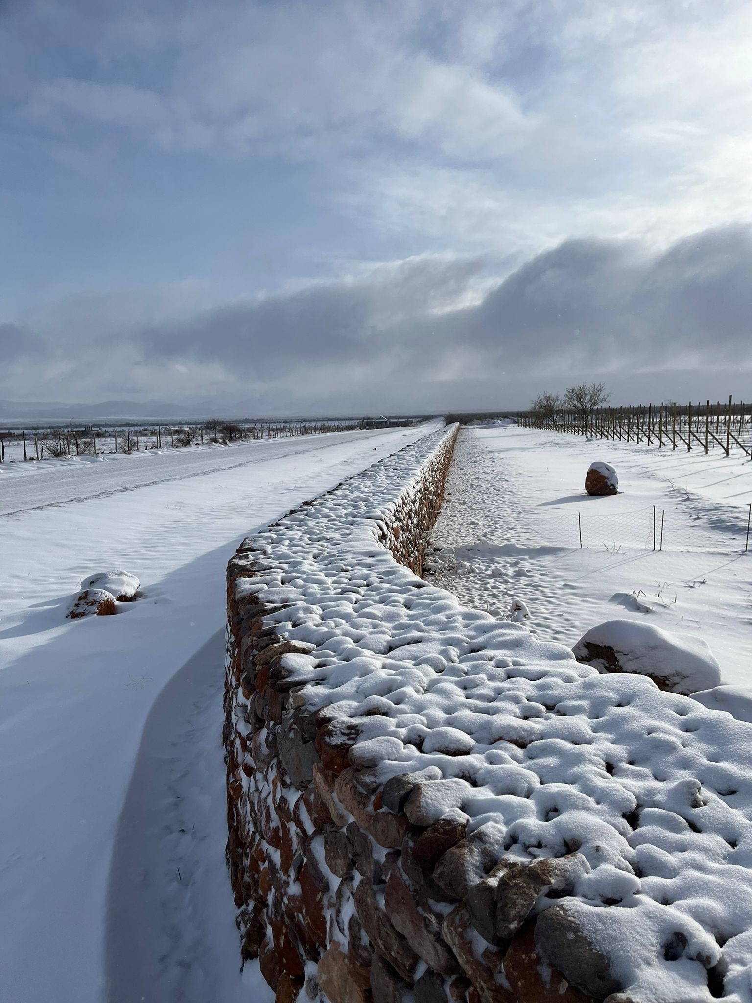 Tres Albas — avance de obra